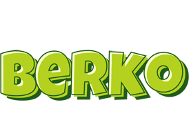 Berko summer logo