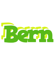 Bern picnic logo