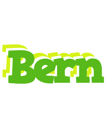 Bern picnic logo