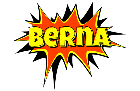 Berna bazinga logo