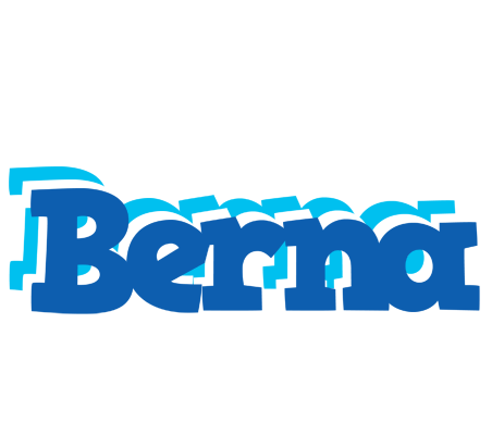 Berna business logo