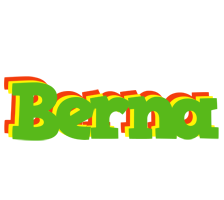 Berna crocodile logo