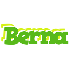 Berna picnic logo