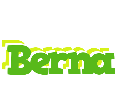Berna picnic logo