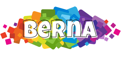 Berna pixels logo