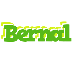 Bernal picnic logo