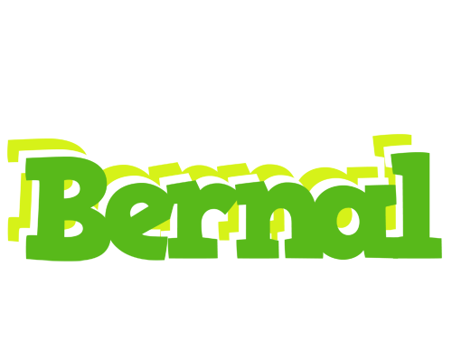 Bernal picnic logo