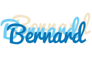 Bernard breeze logo