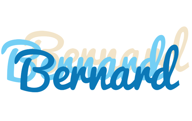 Bernard breeze logo