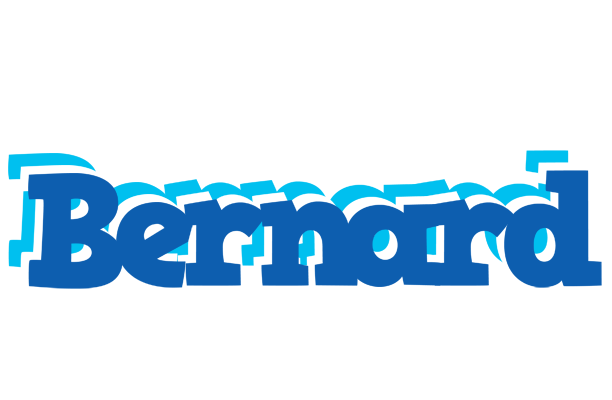 Bernard business logo