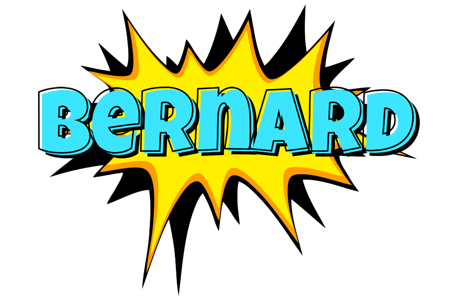 Bernard indycar logo