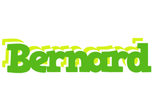 Bernard picnic logo