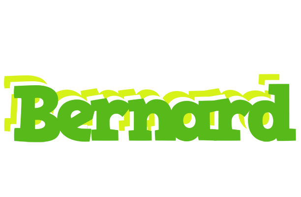 Bernard picnic logo