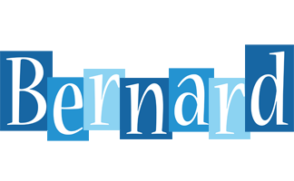 Bernard winter logo