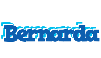 Bernarda business logo