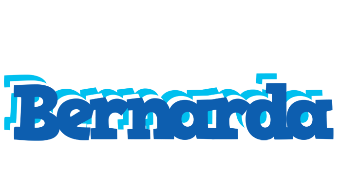 Bernarda business logo