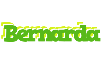Bernarda picnic logo