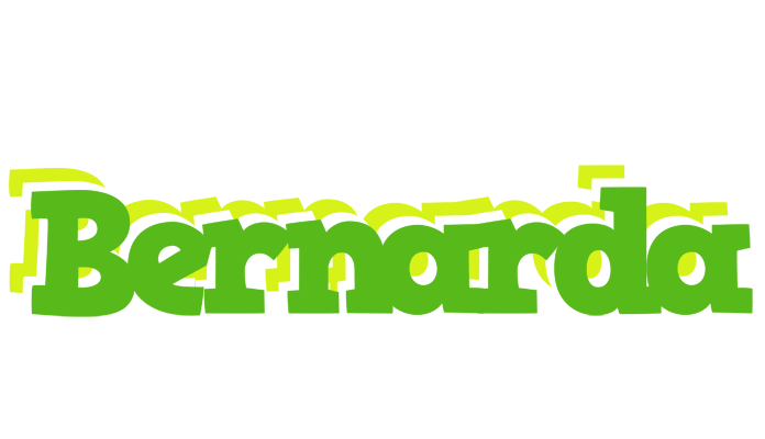Bernarda picnic logo