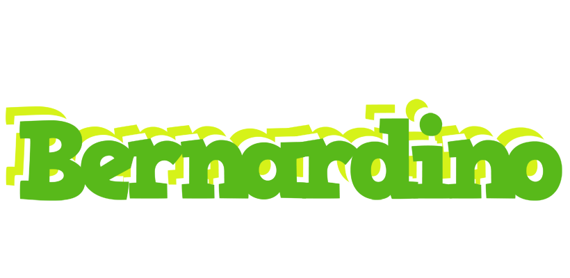 Bernardino picnic logo