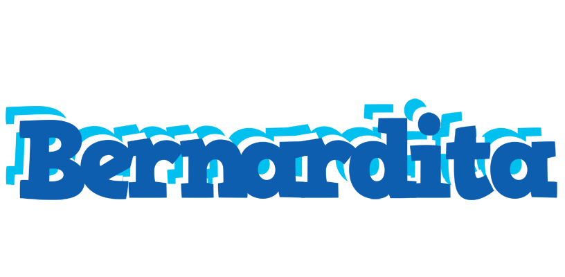 Bernardita business logo