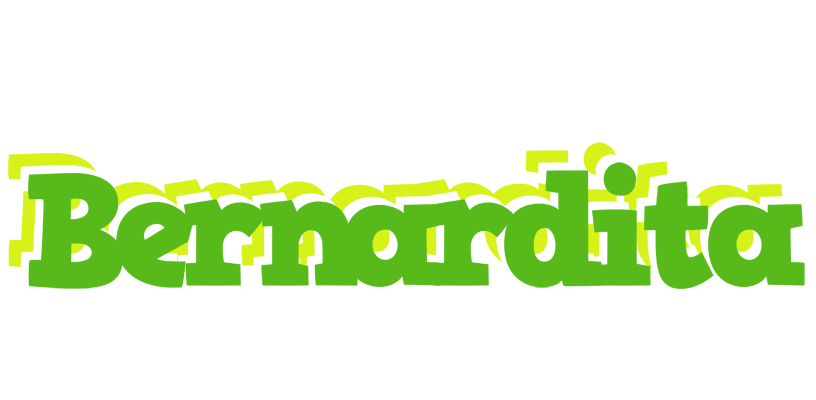 Bernardita picnic logo