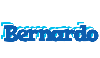 Bernardo business logo