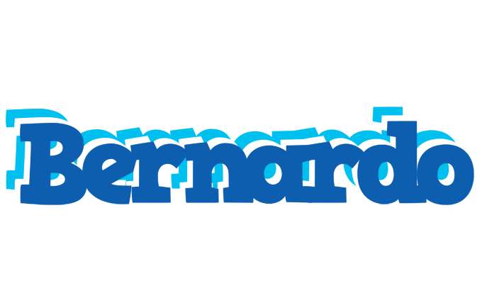 Bernardo business logo