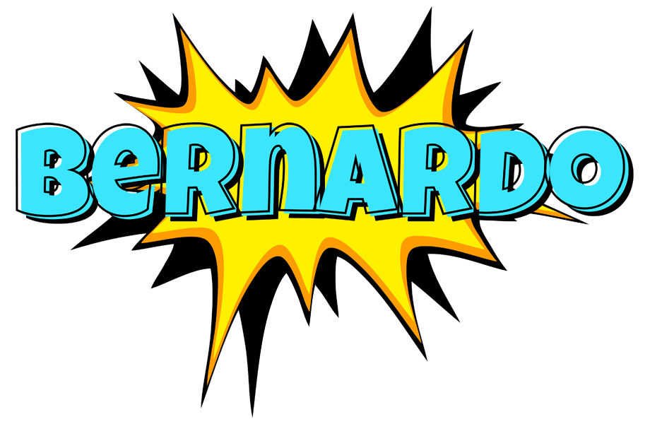 Bernardo indycar logo