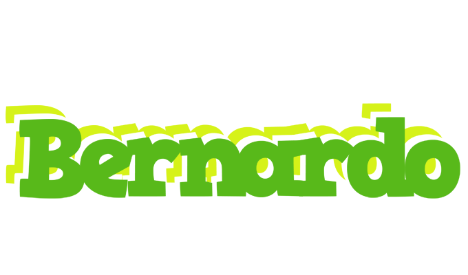 Bernardo picnic logo