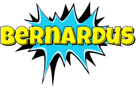 Bernardus amazing logo