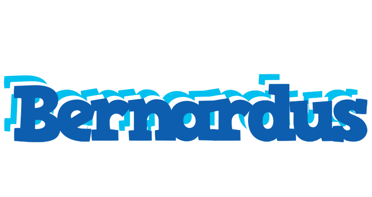 Bernardus business logo