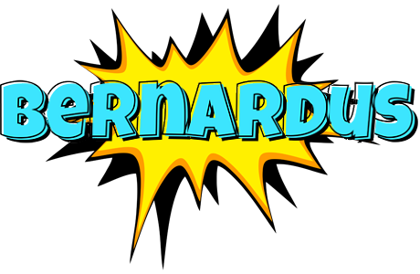 Bernardus indycar logo