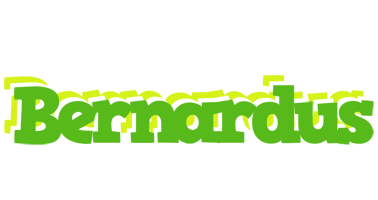 Bernardus picnic logo