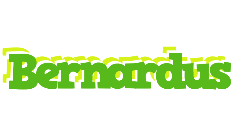 Bernardus picnic logo