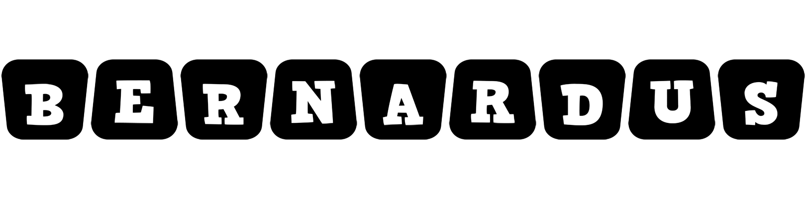 Bernardus racing logo