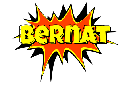 Bernat bazinga logo