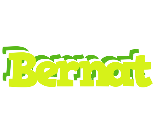 Bernat citrus logo