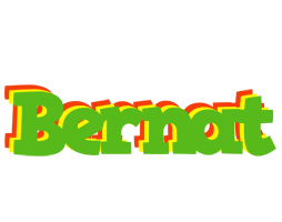 Bernat crocodile logo