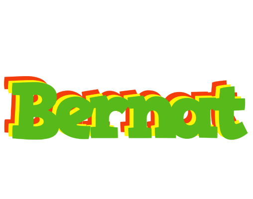 Bernat crocodile logo