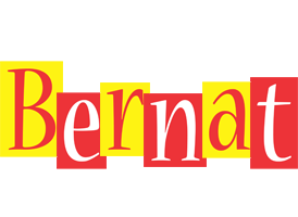 Bernat errors logo