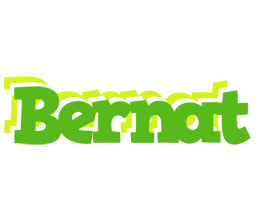 Bernat picnic logo