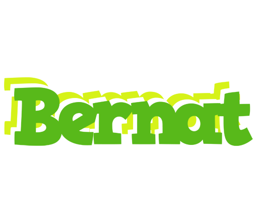 Bernat picnic logo