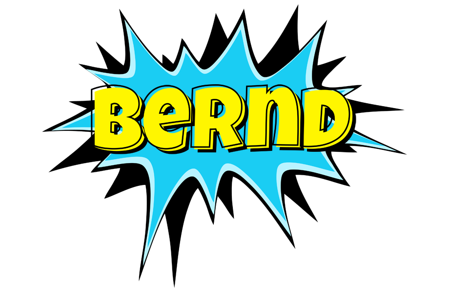 Bernd amazing logo
