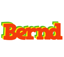 Bernd bbq logo