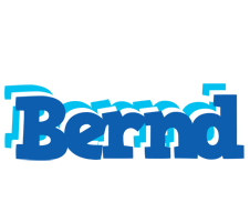 Bernd business logo