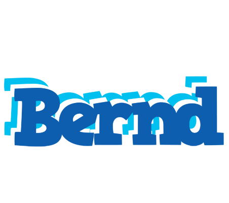 Bernd business logo