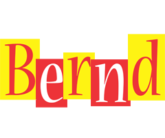 Bernd errors logo