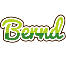 Bernd golfing logo