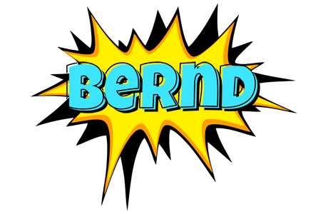 Bernd indycar logo