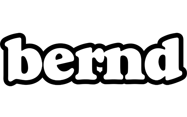 Bernd panda logo